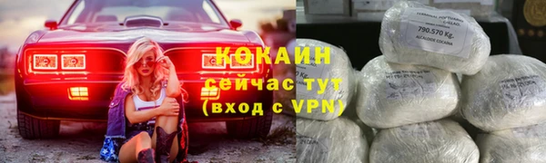 СК Вязьма