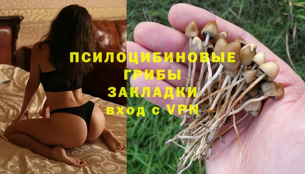 эйфоретик Волосово